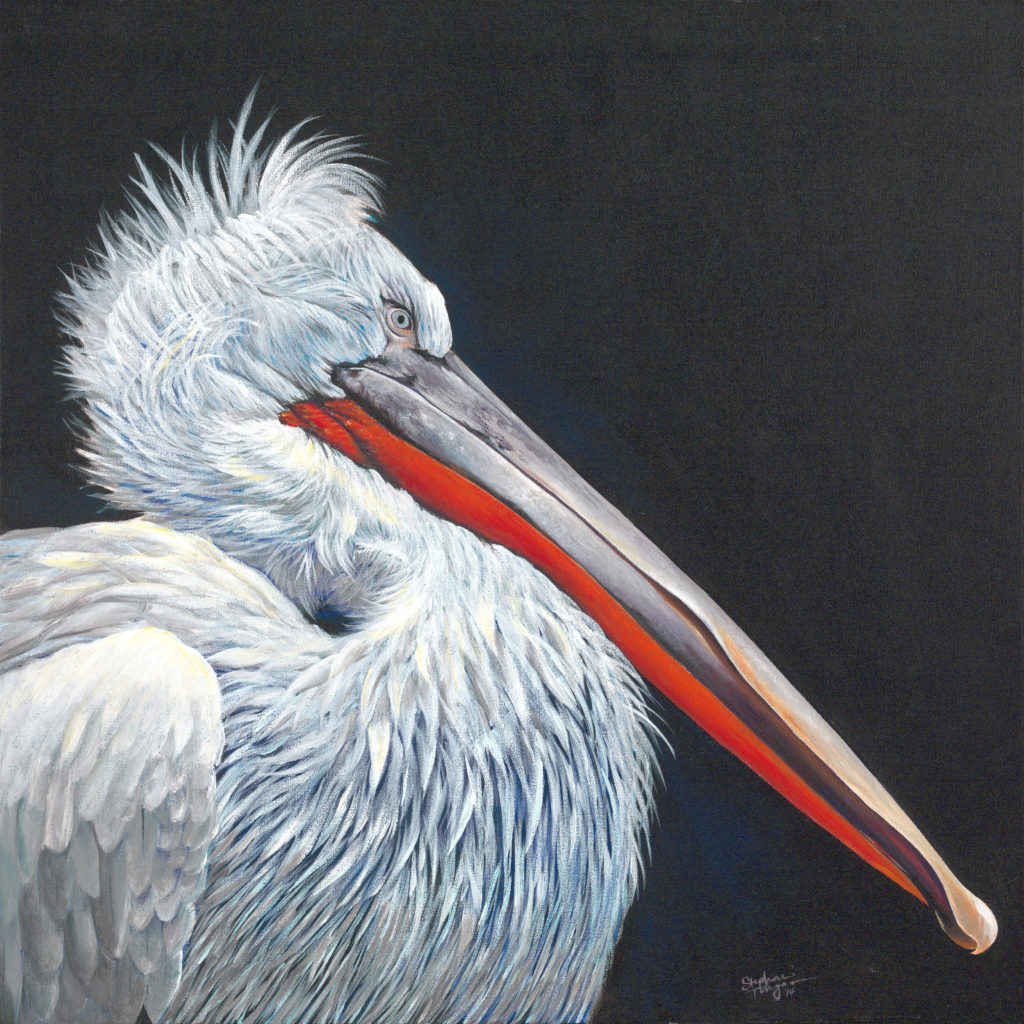 Painting of a pelican by Torregrossa Fine Art