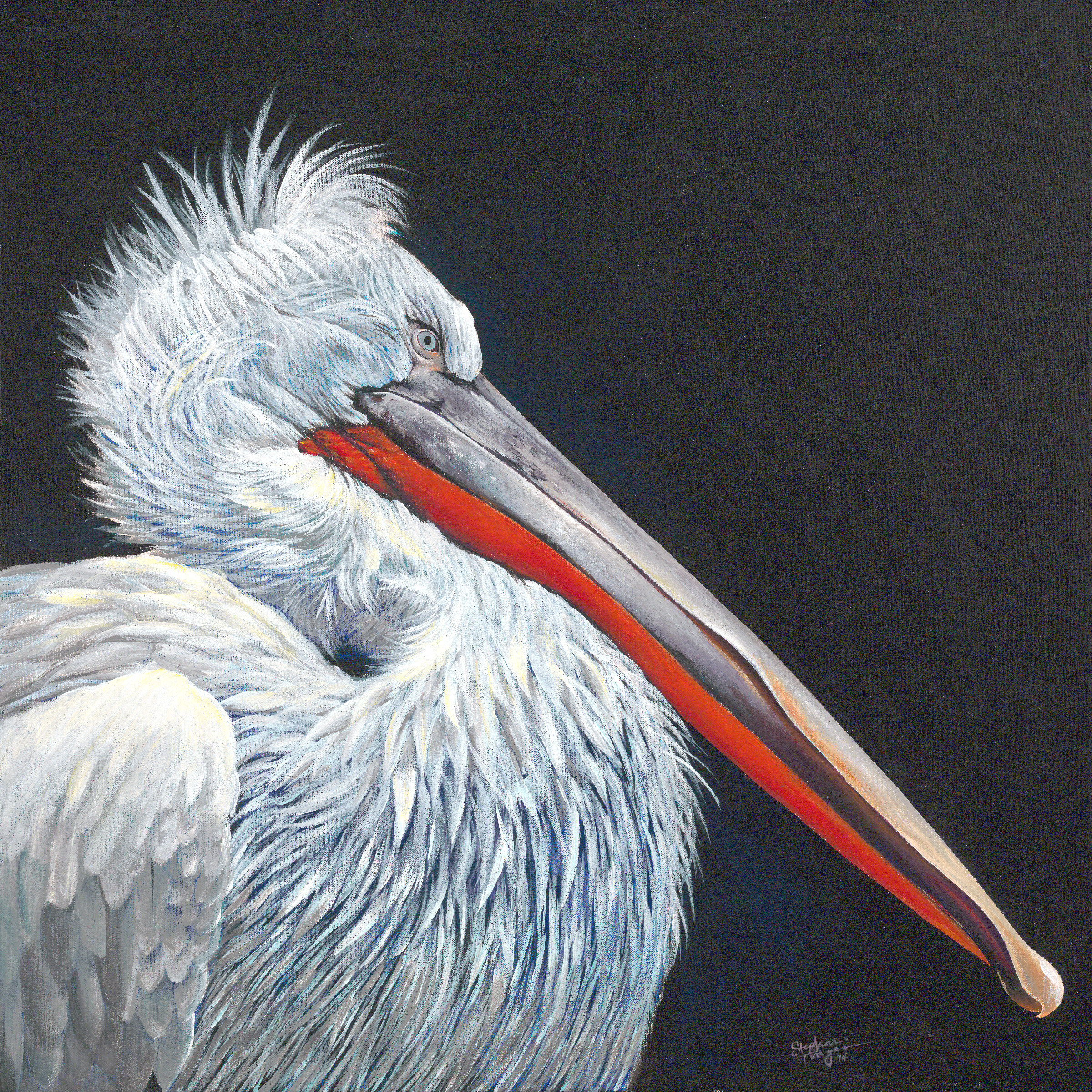 Painting of a pelican by Torregrossa Fine Art
