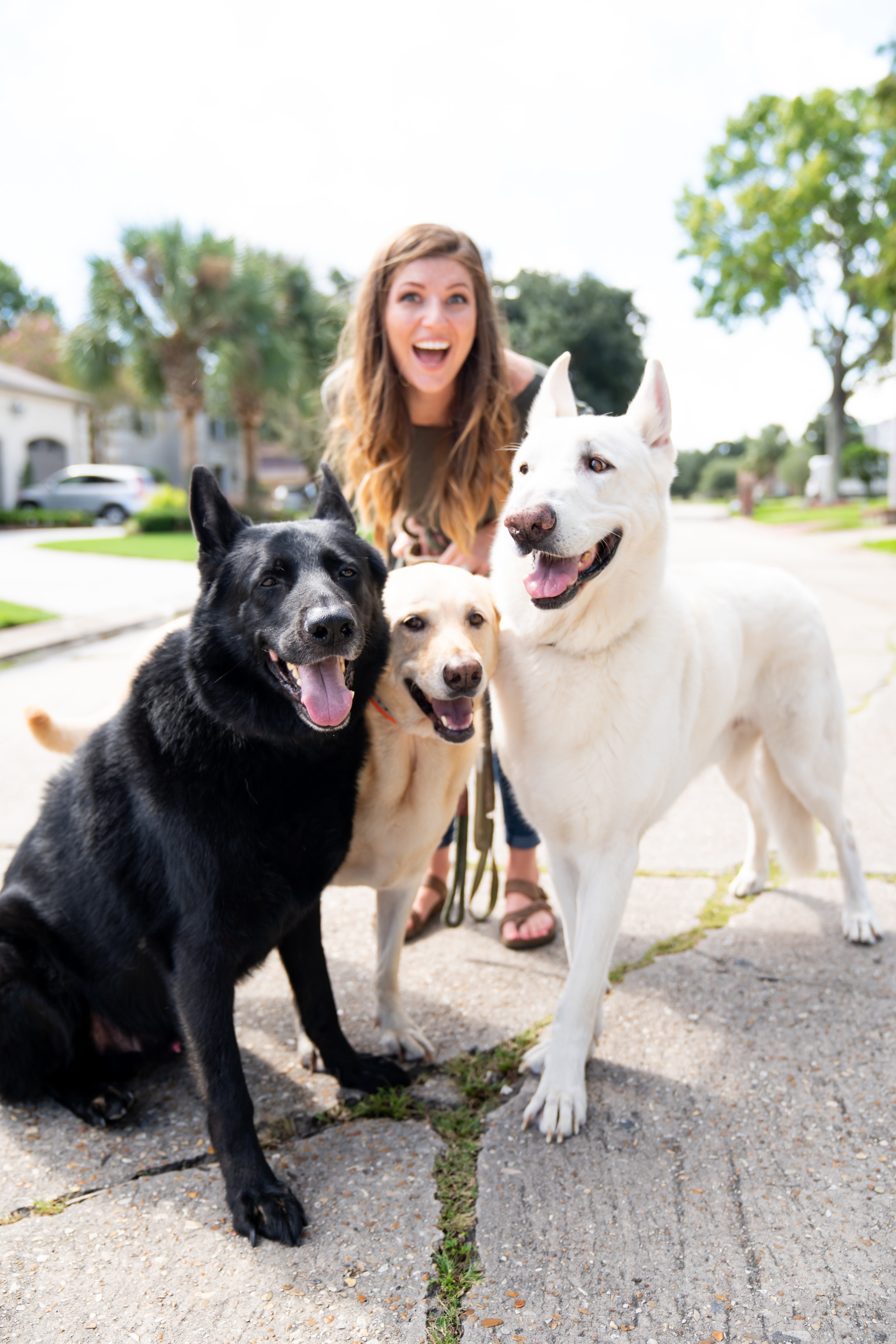 Stephanie Gaffney walking her three dogs